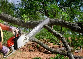 Best Grass Overseeding  in Pocono Woodland Lakes, PA