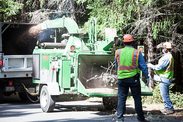 Best Seasonal Cleanup (Spring/Fall)  in Pocono Woodland Lakes, PA